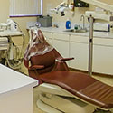 Student Dental Services