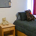 Dorm