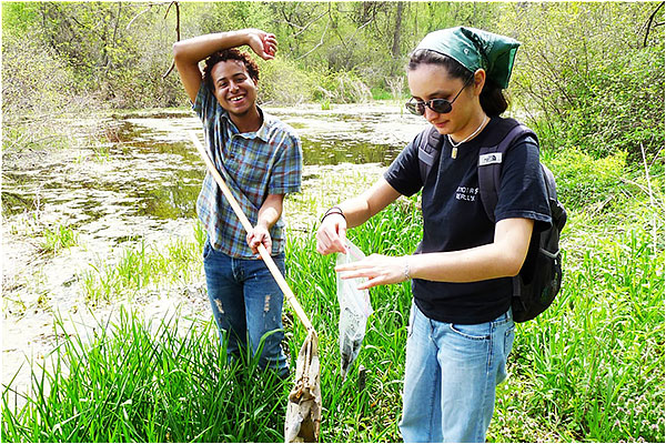 Research in the Arb