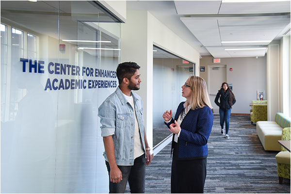 Center for Enhanced Academic Experiences